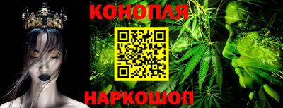 стафф Камышлов