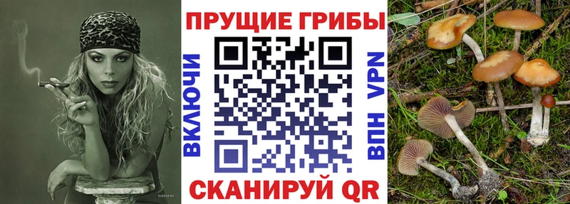 ОМГ ОМГ как войти  купить наркотики цена  Кумертау  Псилоцибиновые грибы мухоморы 
